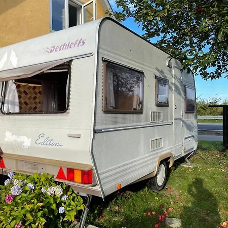 Ninho Du Gaivota * Golstrup